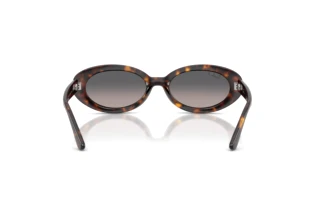 Widok z tyłu Ray-Ban RB2223 (902/M3)
