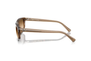 Widok z boku Ray-Ban RB2225 (664051)
