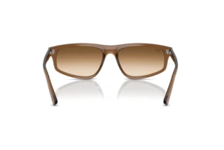 Widok z tyłu Ray-Ban RB2225 (664051)