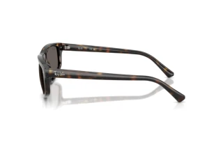 Widok z boku Ray-Ban RB2225 (710/B1)