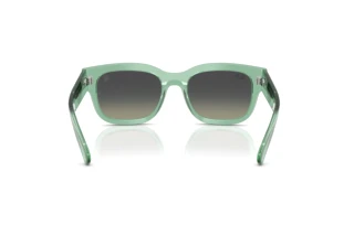 Widok z tyłu Ray-Ban RB2228M (F70911)
