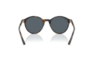 Widok z tyłu Ray-Ban RB2230 (1356R5)
