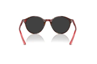 Widok z tyłu Ray-Ban BERNARD (RB2230 - 141948)