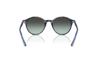 Widok z tyłu Ray-Ban BERNARD (RB2230 - 1420GK)