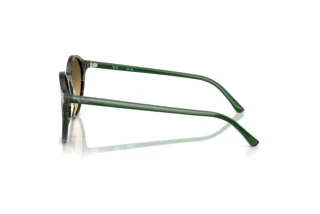 Widok z boku Ray-Ban BERNARD (RB2230 - 14210A)