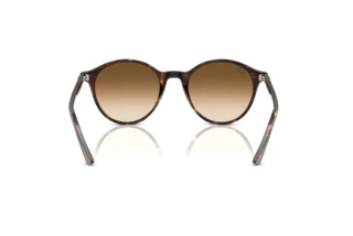 Widok z tyłu Ray-Ban BERNARD (RB2230 - 902/51)