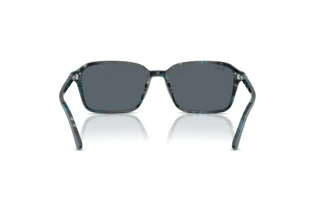 Widok z tyłu Ray-Ban RAIMOND (RB2231 - 1417R5)
