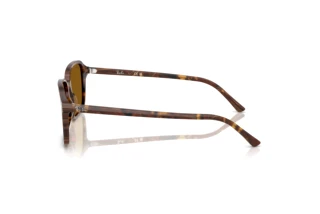 Widok z boku Ray-Ban RAIMOND (RB2231 - 141833)