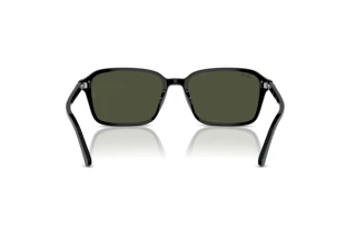 Widok z tyłu Ray-Ban RAIMOND (RB2231 - 901/31)