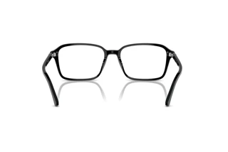 Widok z tyłu Ray-Ban RAIMOND (RB2231 - 901/GG)