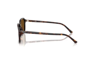 Widok z boku Ray-Ban RAIMOND (RB2231 - 902/57)