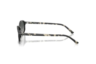 Widok z boku Ray-Ban RB2232 (133371)
