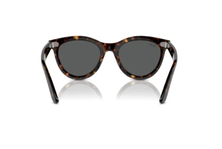 Widok z tyłu Ray-Ban WAYFARER WAY (RB2241 - 902/B1)
