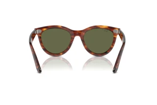 Widok z tyłu Ray-Ban WAYFARER WAY (RB2241 - 954/58)