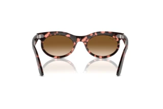 Widok z tyłu Ray-Ban WAYFARER OVAL (RB2242 - 133451)