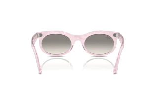 Widok z tyłu Ray-Ban WAYFARER OVAL (RB2242 - 138432)