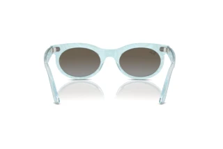 Widok z tyłu Ray-Ban WAYFARER OVAL (RB2242 - 138596)