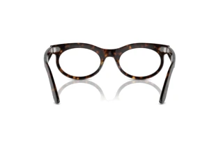 Widok z tyłu Ray-Ban WAYFARER OVAL (RB2242 - 902/GI)