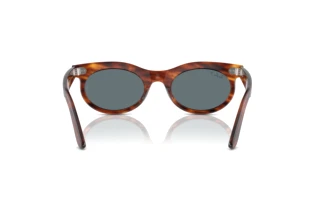 Widok z tyłu Ray-Ban WAYFARER OVAL (RB2242 - 954/3R)