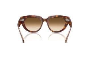 Widok z tyłu Ray-Ban DOREEN (RB2286 - 141451)
