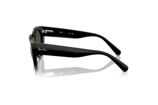 Widok z boku Ray-Ban DOREEN (RB2286 - 901/31)