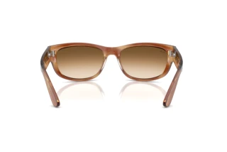 Widok z tyłu Ray-Ban MEGA BALORAMA (RB2289 - 140351)