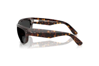 Widok z boku Ray-Ban MEGA BALORAMA (RB2289 - 902/48)