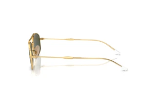 Widok z boku Ray-Ban RB3719 (001/31)