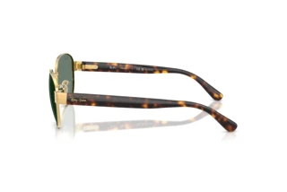 Widok z boku Ray-Ban RB3766CH (001/O9)