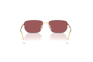 Widok z tyłu Ray-Ban RB3768 (001/D0)