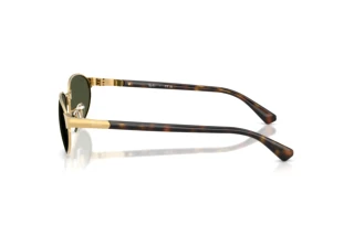 Widok z boku Ray-Ban RB3777 (001/31)