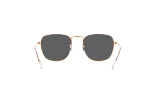 Widok z tyłu Ray-Ban FRANK (RB3857 - 9202B1)