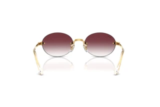 Widok z tyłu Ray-Ban RB3929 (001/8H)