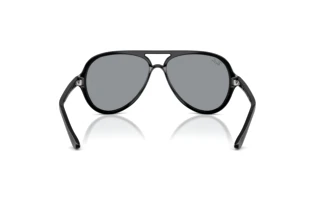 Widok z tyłu Ray-Ban CATS 5000 (RB4125 - 601/R5)