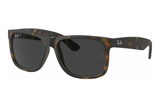 Ray-Ban RB4165 865/87 Green GradientBrown