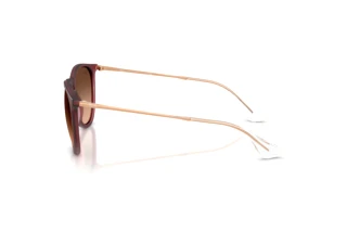 Widok z boku Ray-Ban ERIKA (RB4171 - 6815A5)