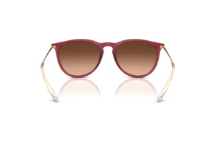 Widok z tyłu Ray-Ban ERIKA (RB4171 - 6815A5)