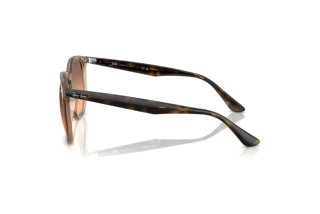 Widok z boku Ray-Ban RB4306 (678846)