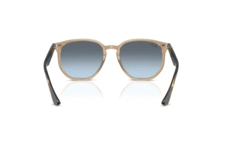 Widok z tyłu Ray-Ban RB4306 (6788V1)