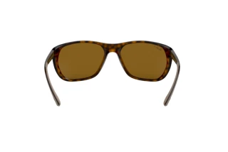 Widok z tyłu Ray-Ban RB4307 (710/83)