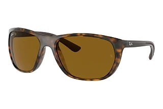 Widok z przodu Ray-Ban RB4307 (710/83)