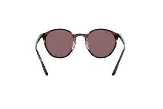 Widok z tyłu Ray-Ban RB4336CH (710/BC)