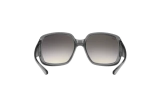Widok z tyłu Ray-Ban POWDERHORN (RB4347 - 653011)