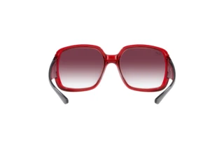 Widok z tyłu Ray-Ban POWDERHORN (RB4347 - 66628H)