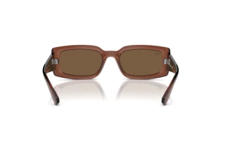 Widok z tyłu Ray-Ban KILIANE (RB4395 - 667873)