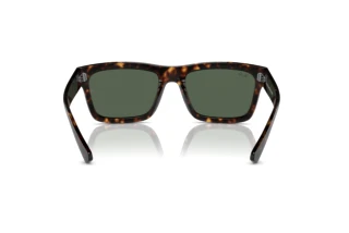 Widok z tyłu Ray-Ban WARREN (RB4396 - 135971)