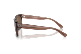 Widok z boku Ray-Ban WARREN (RB4396 - 667873)