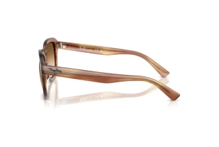 Widok z boku Ray-Ban ERIK (RB4398 - 140351)