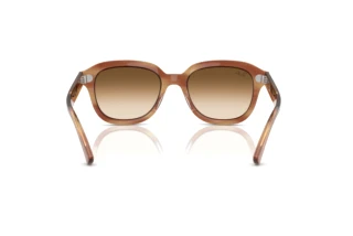 Widok z tyłu Ray-Ban ERIK (RB4398 - 140351)