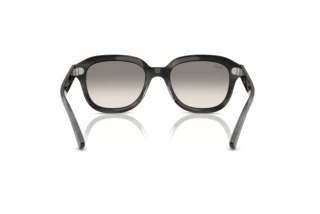 Widok z tyłu Ray-Ban ERIK (RB4398 - 140432)